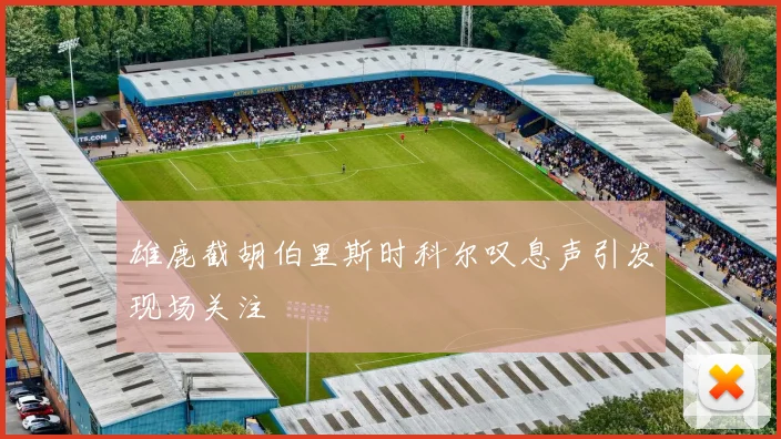 雄鹿截胡伯里斯时科尔叹息声引发现场关注